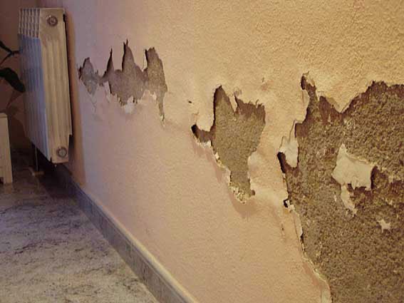 i283445314586087544._szw1280h1280_