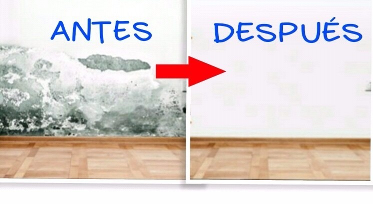 i283445314586087668._szw1280h1280_